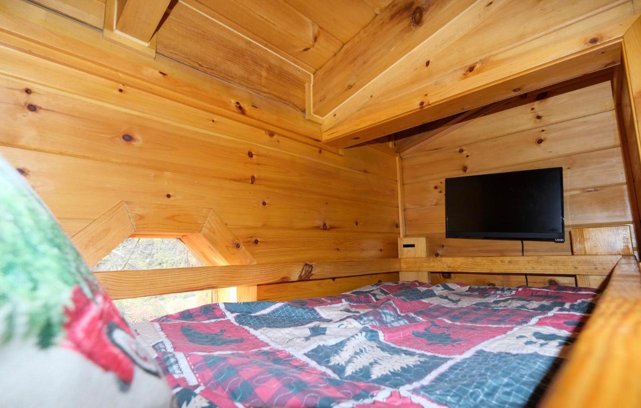 Lazy Bear Lodge Gatlinburg Εξωτερικό φωτογραφία
